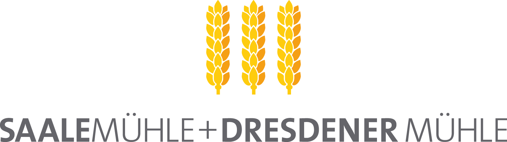 Logo Dresdener Mühle