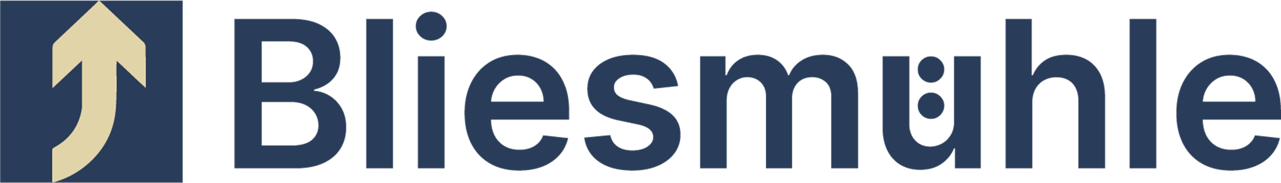 Logo Bliesmühle GmbH